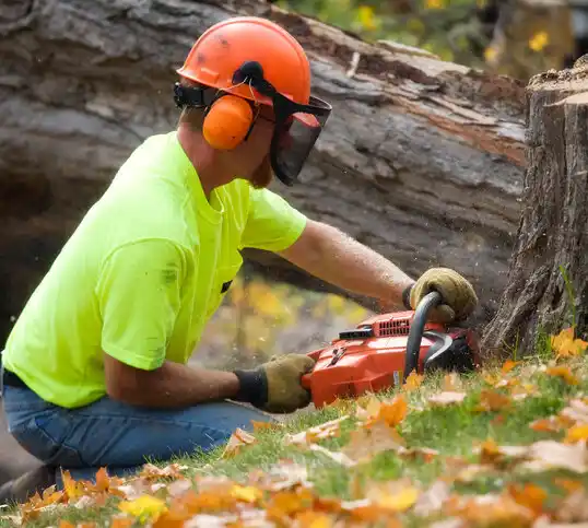 tree services Steelville